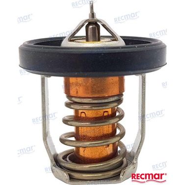 Termostat 60°C REC1767094J01
