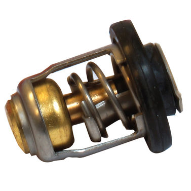 Termostat for Mercury OEM 855676002