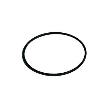 Maestrini O-ring sjövattenfilter 1"1/4