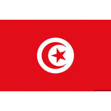 Lippu Tunisia 20 x 30 cm