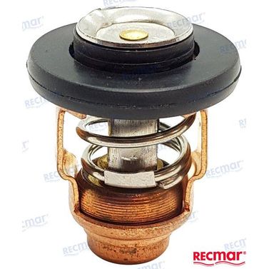 Termostat 60°C REC6AH1241100