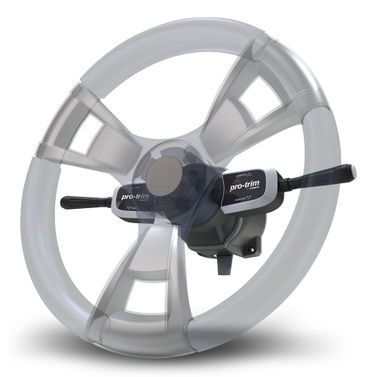 Pro trim switch dual