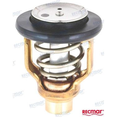 Termostat 60°C REC6DA1241101