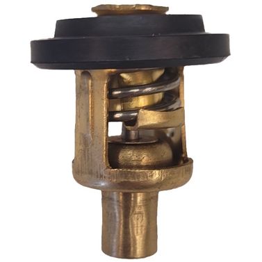 Termostat 60°C REC6F51241103