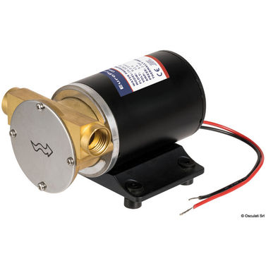 Europump självsugande pump med mässingshus 24 V