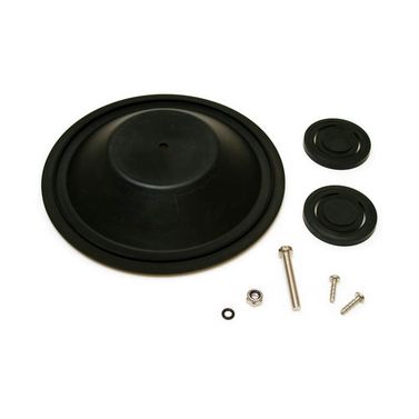 Major service kit 29250