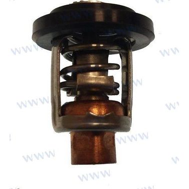 Termostat 60ºC RECPAF1507000031