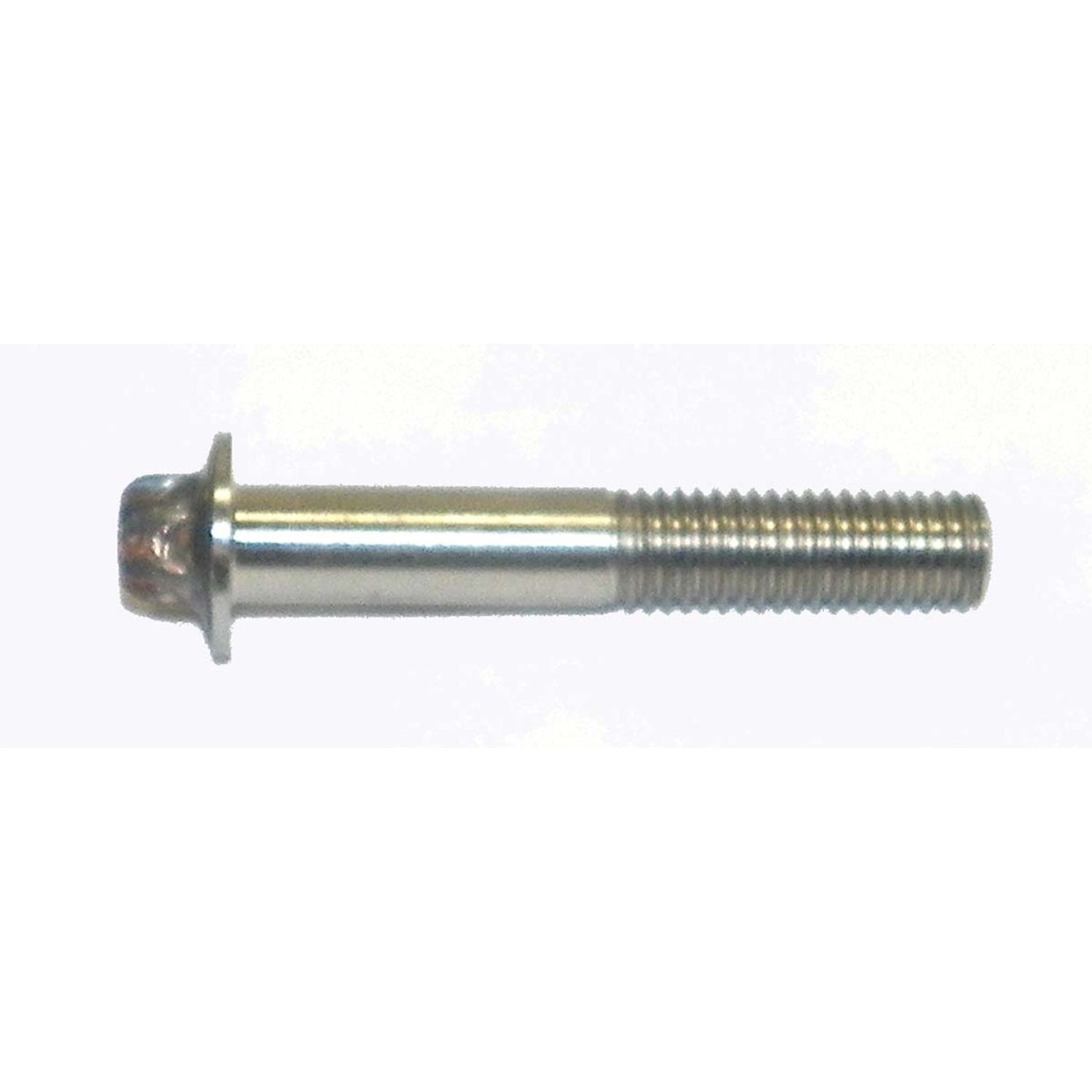 Bult WSM014345