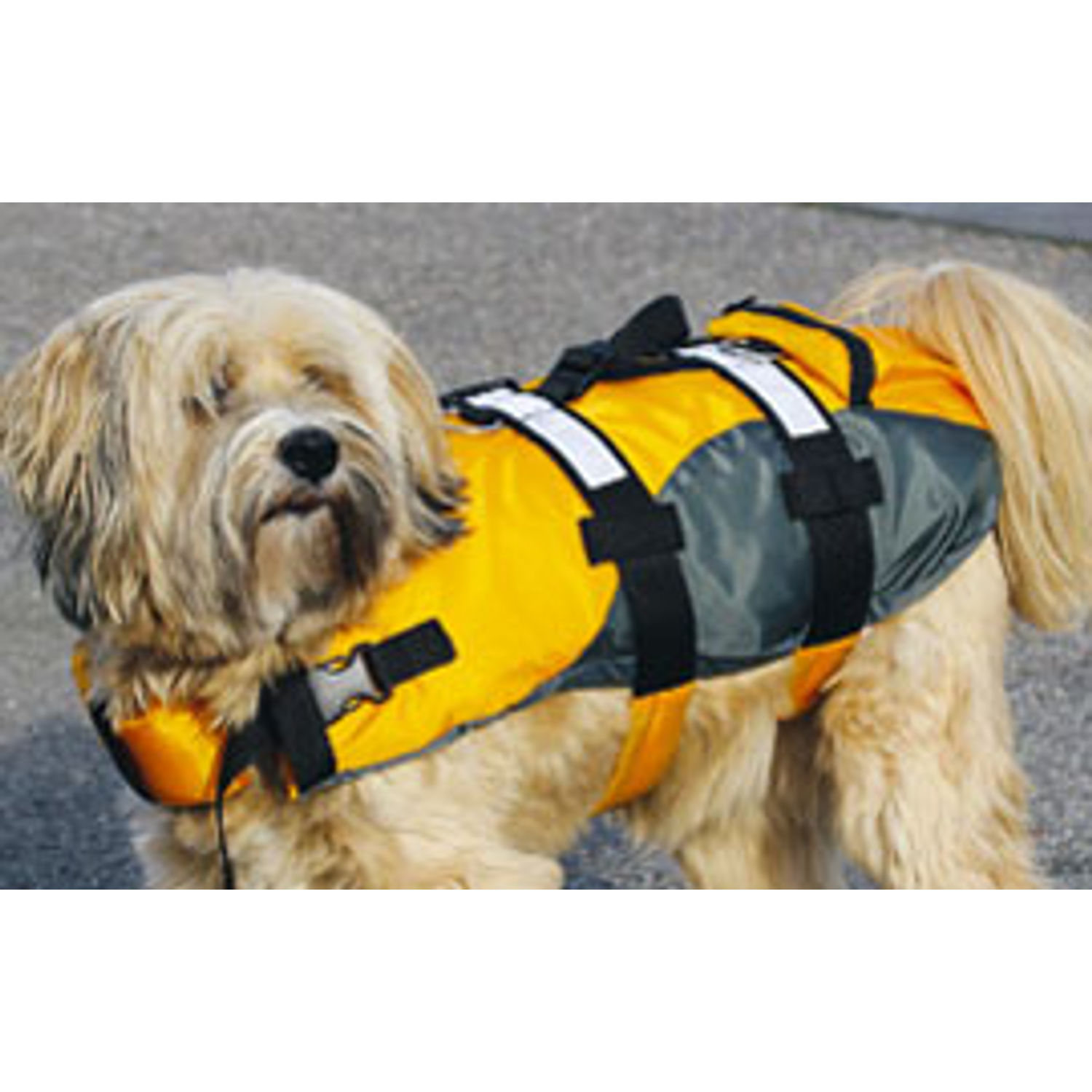 Active Flydevest til Hund