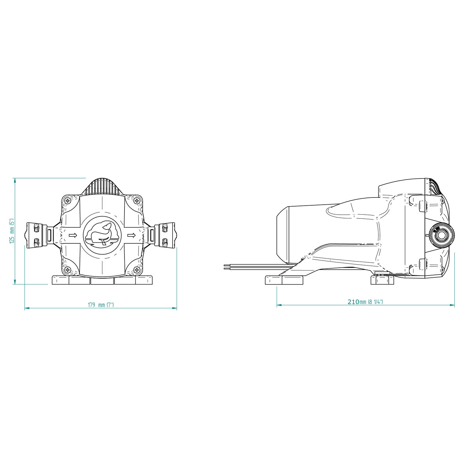 Whale Watermaster Tryckvattenpump