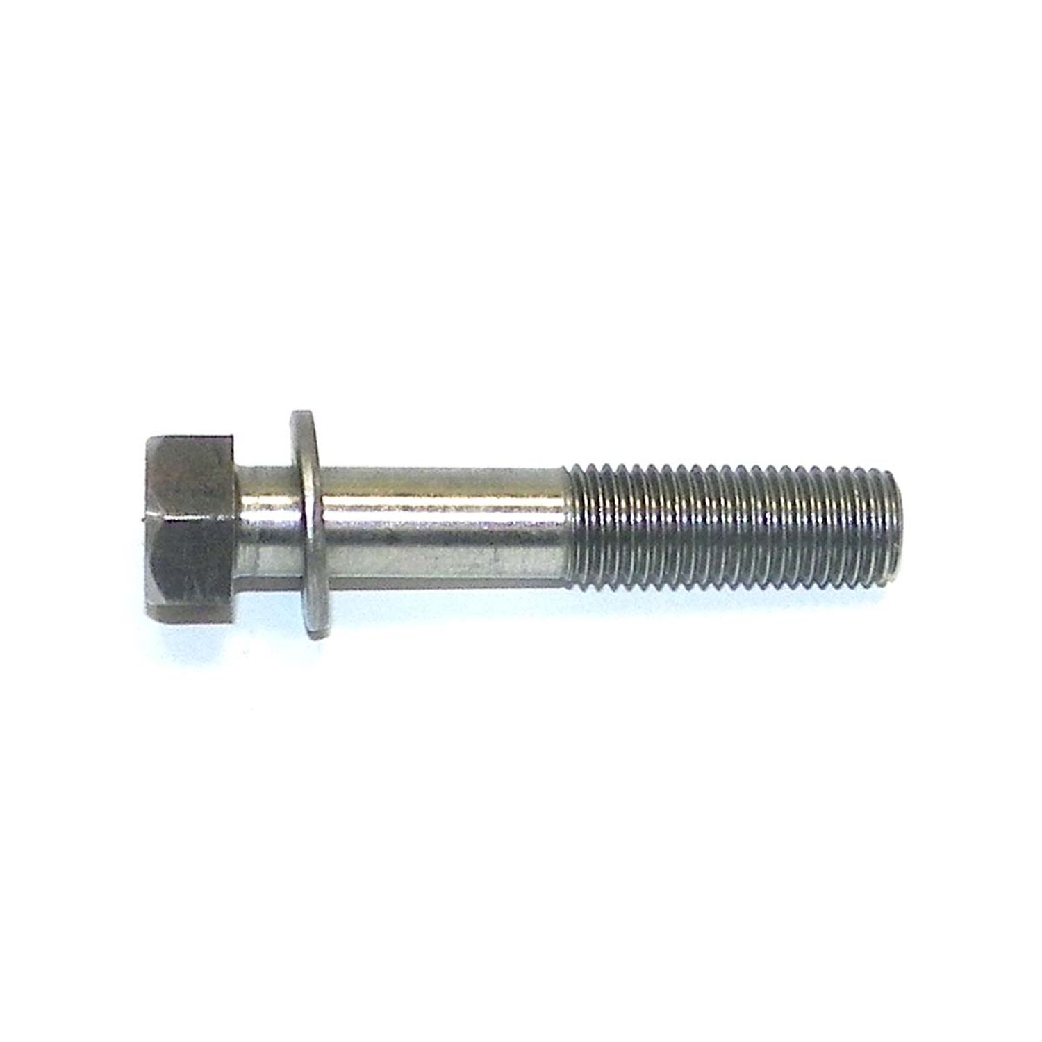 Bult WSM014344