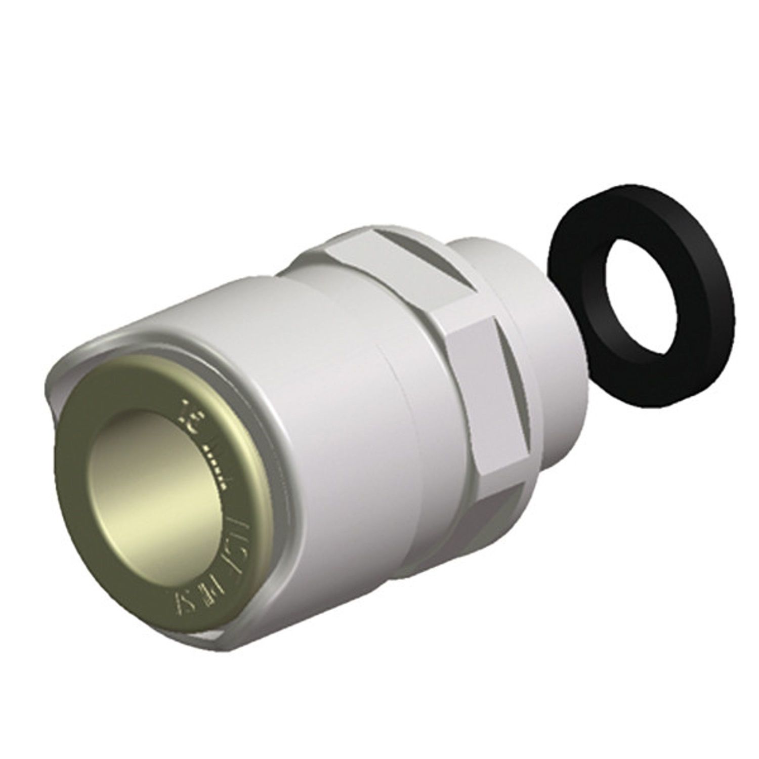 Whale Adapter rett 15 mm - 1/2" BSP