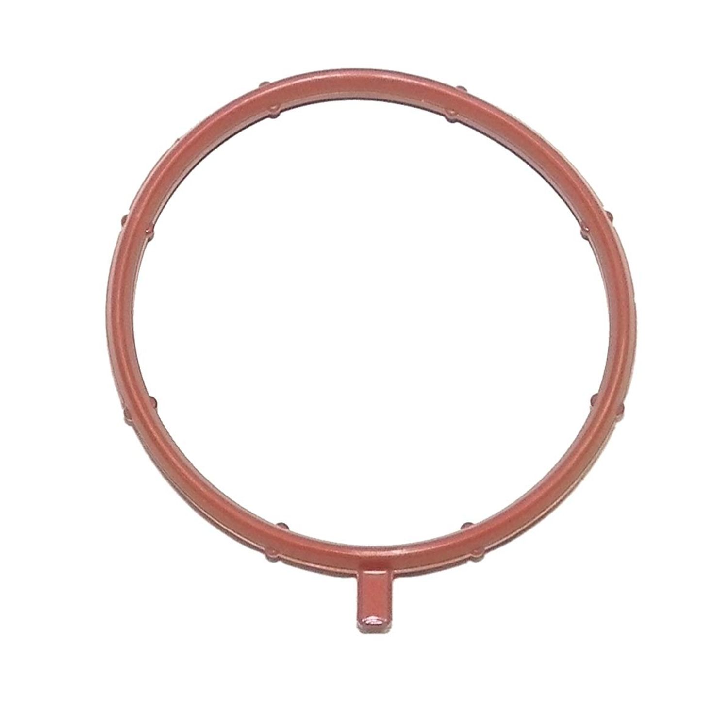 O-Ring WSM00868318