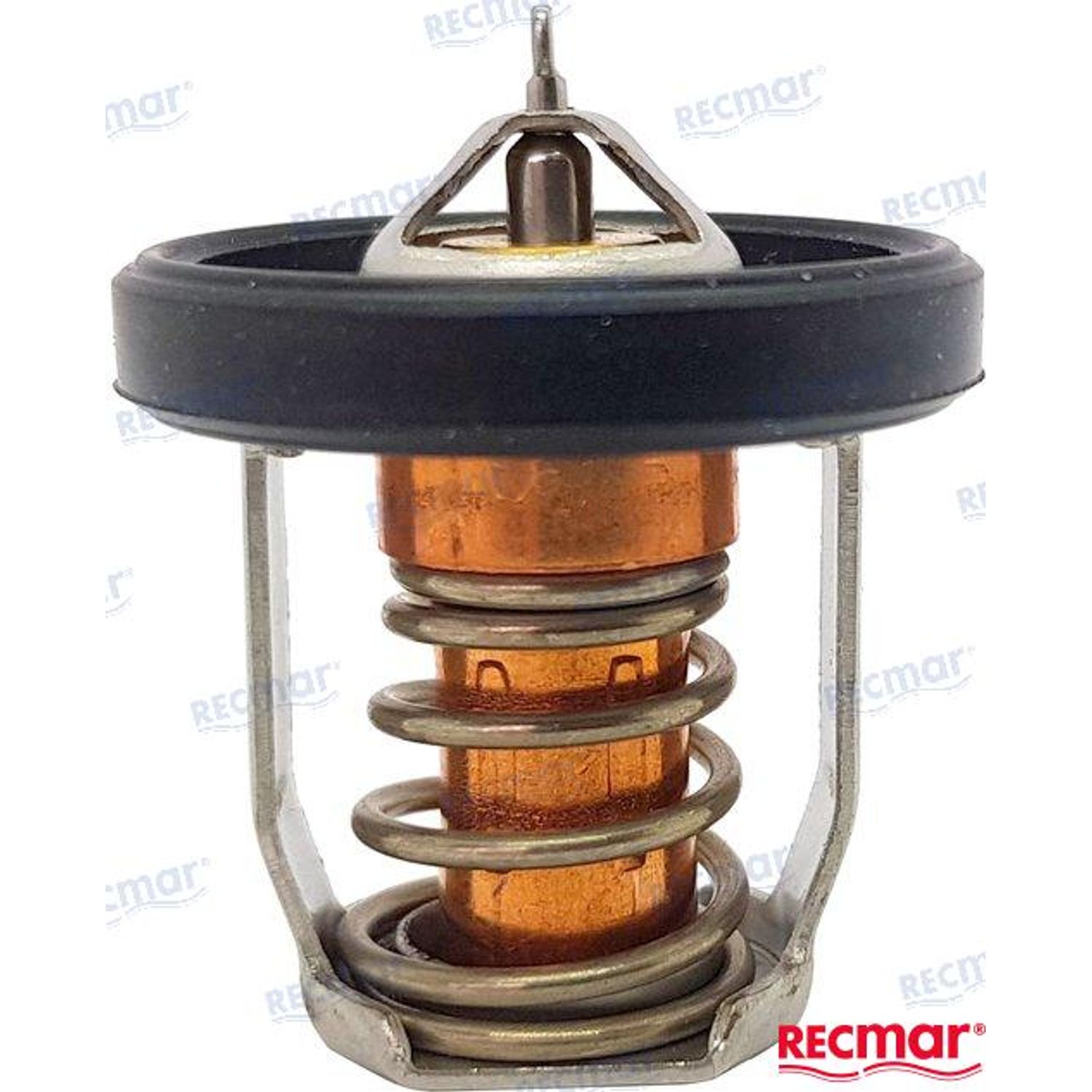 Termostat 60°C REC1767094J01