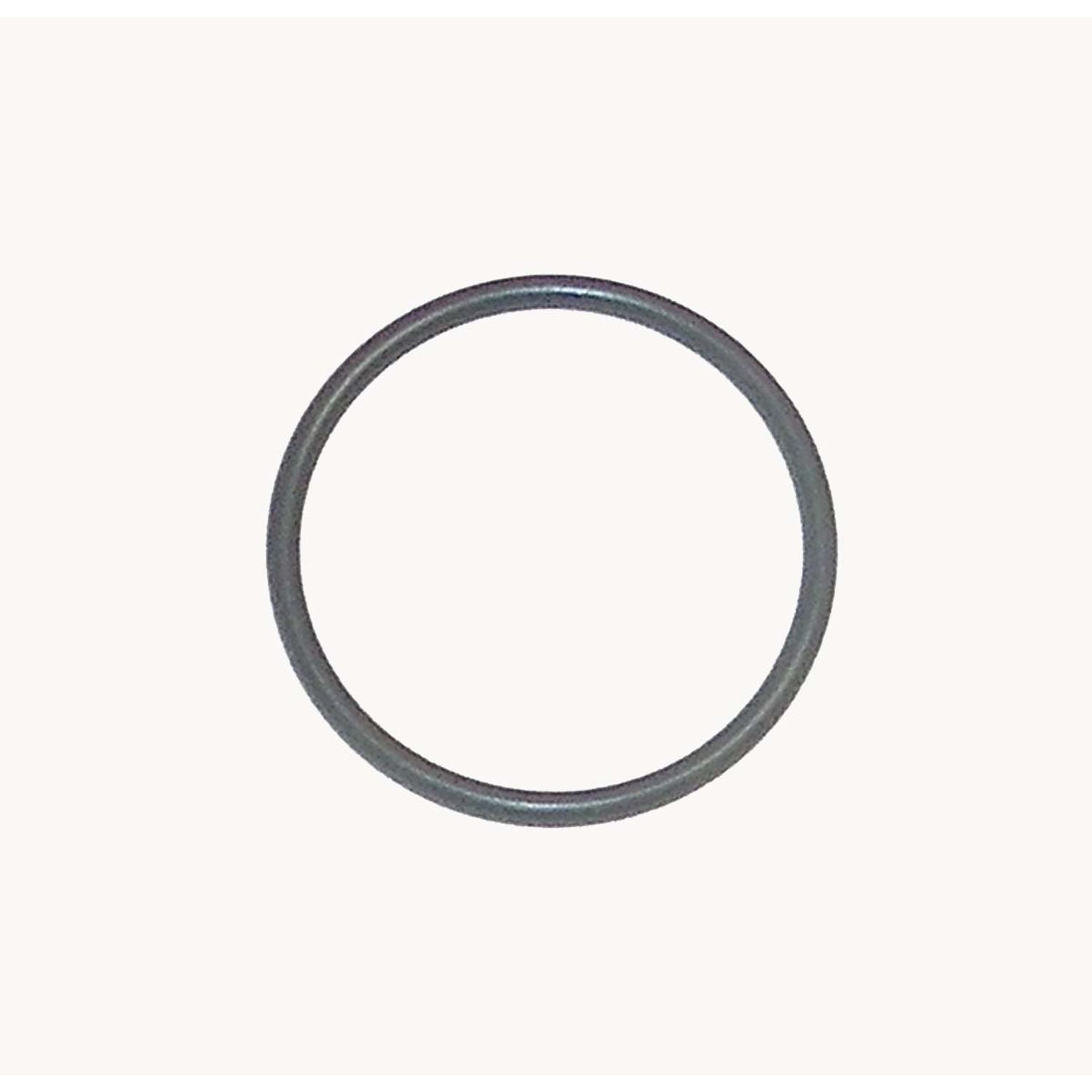 O-ring WSM008564