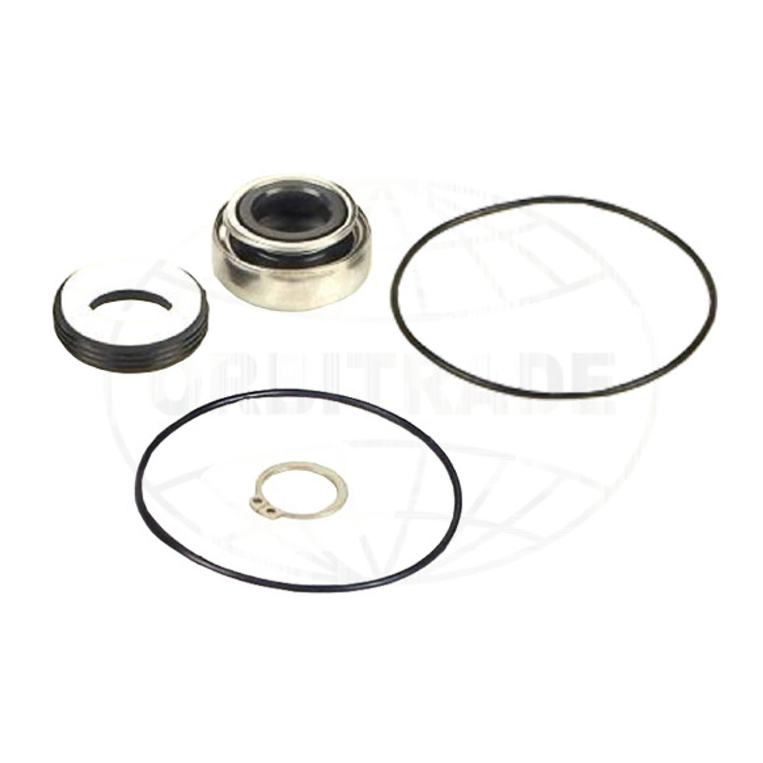 Slidkit til havvandspumpe ORB22386