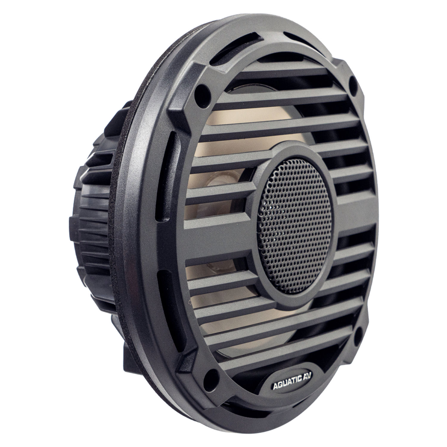 Aquatic AV 6.5" Pro Classic Speaker Black