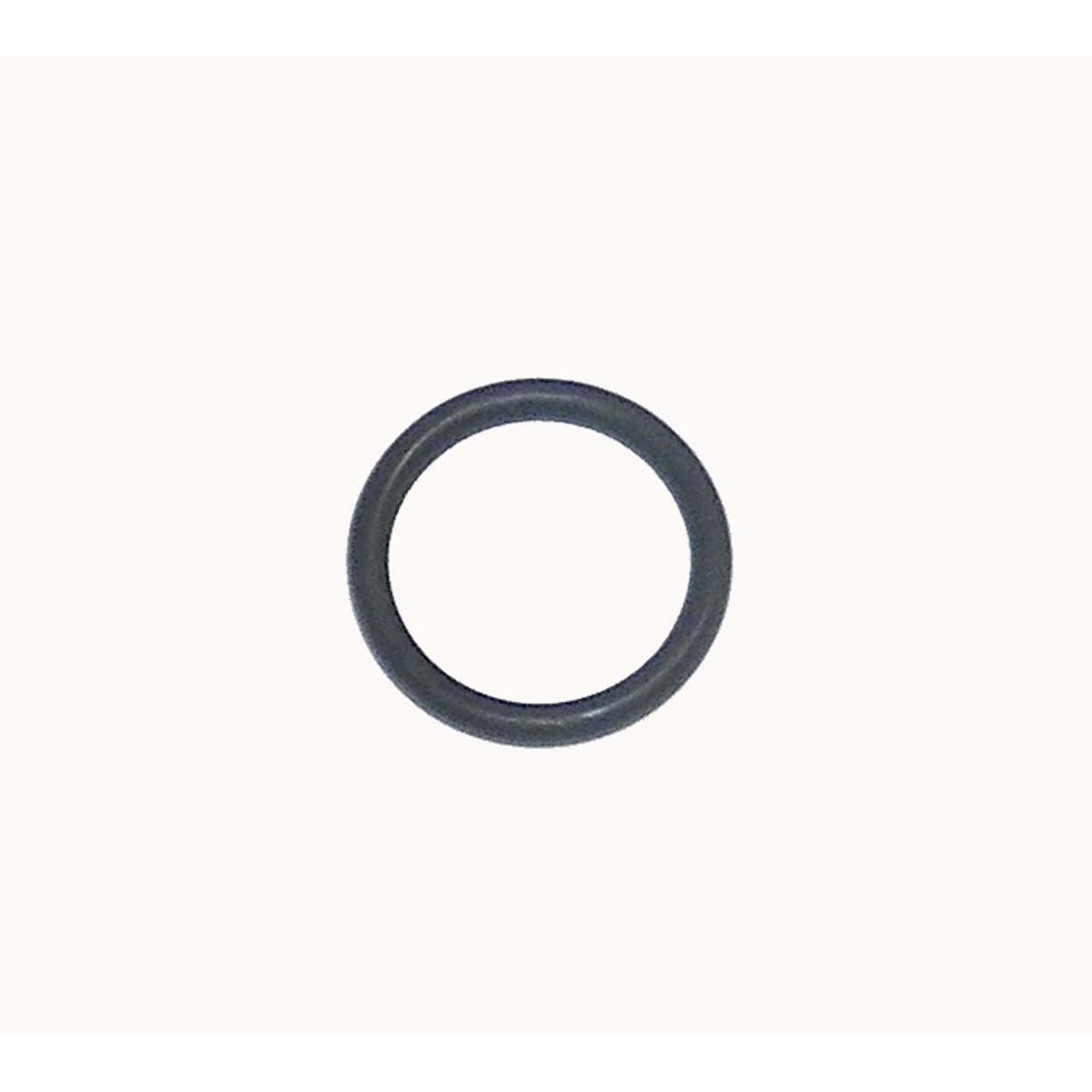 O-Ring WSM00860501