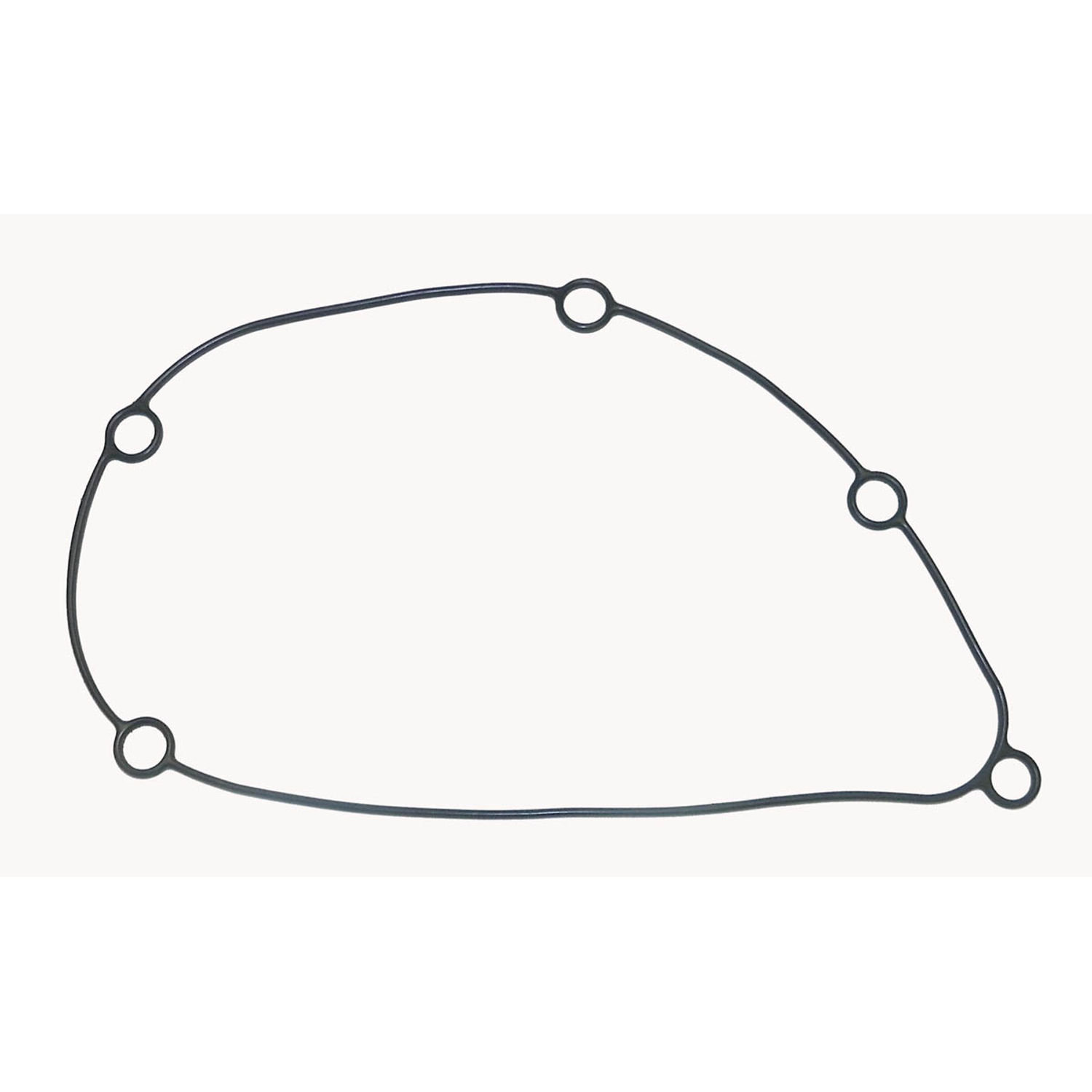 O-ring WSM008632