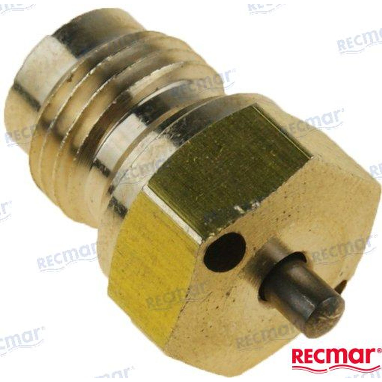 Kaasuttimen sarja REC841294VALVE