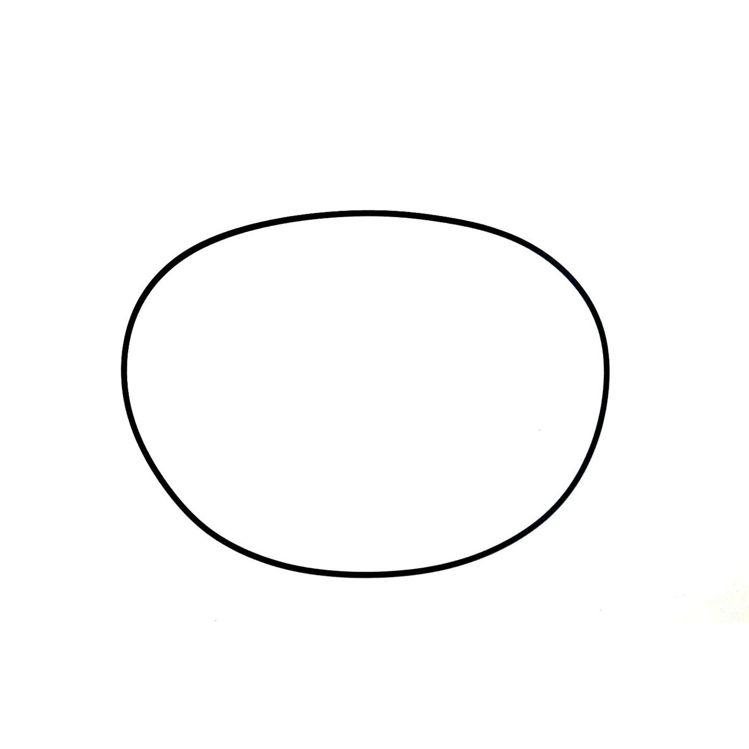 O-ring WSM008418