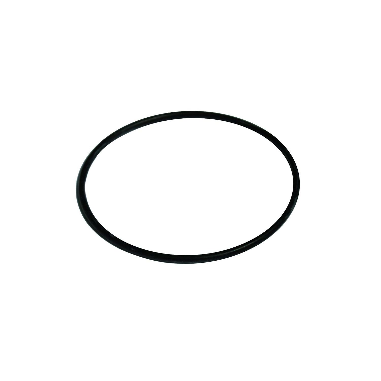 Maestrini O-ring sjövattenfilter 1"1/4
