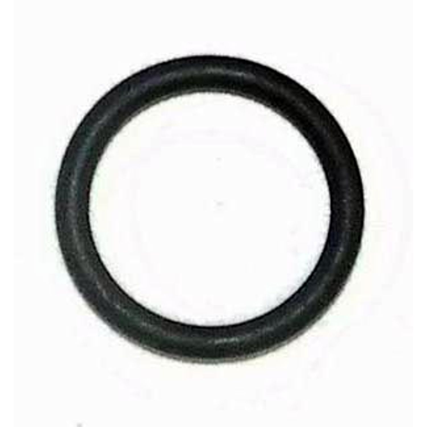 O-Ring WSM008661