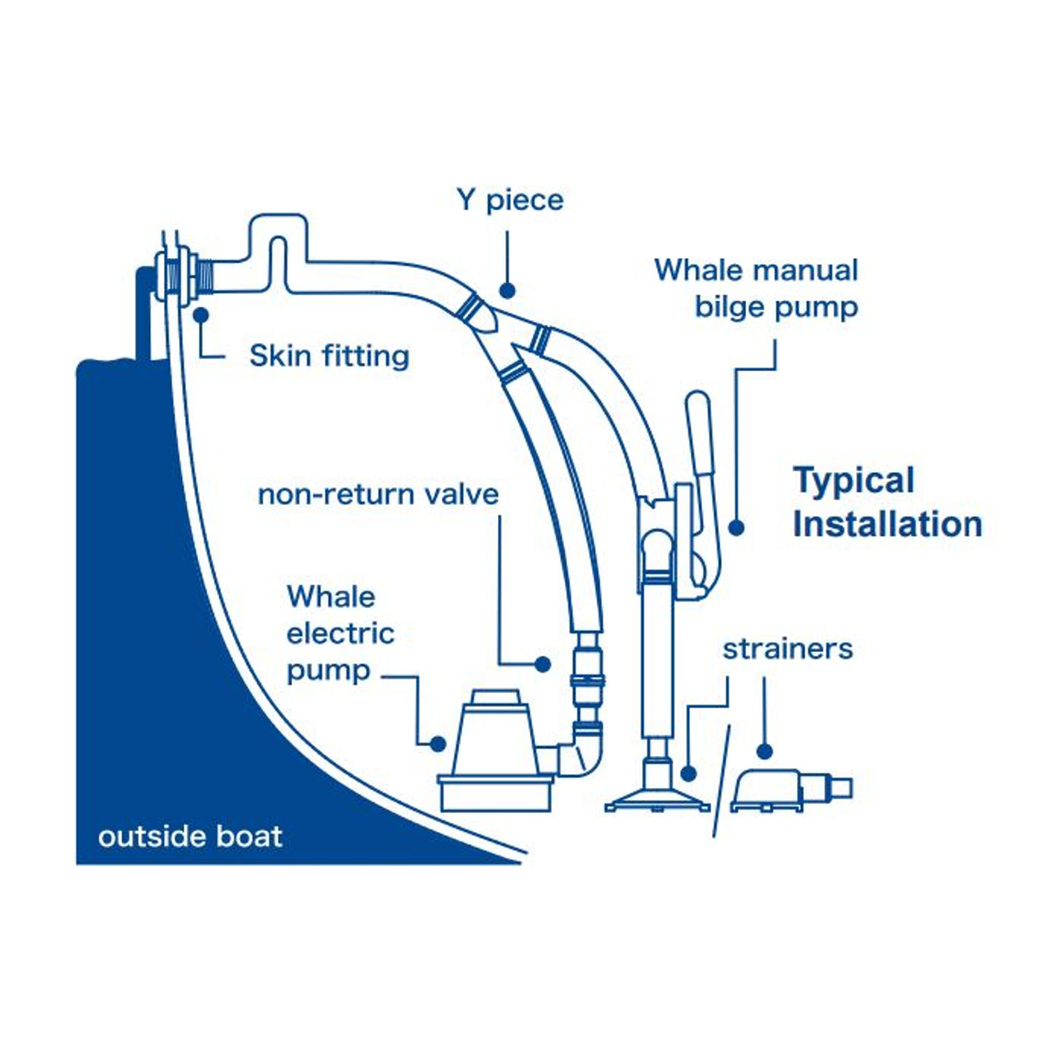 Whale Gusher Urchin, fast håndtag