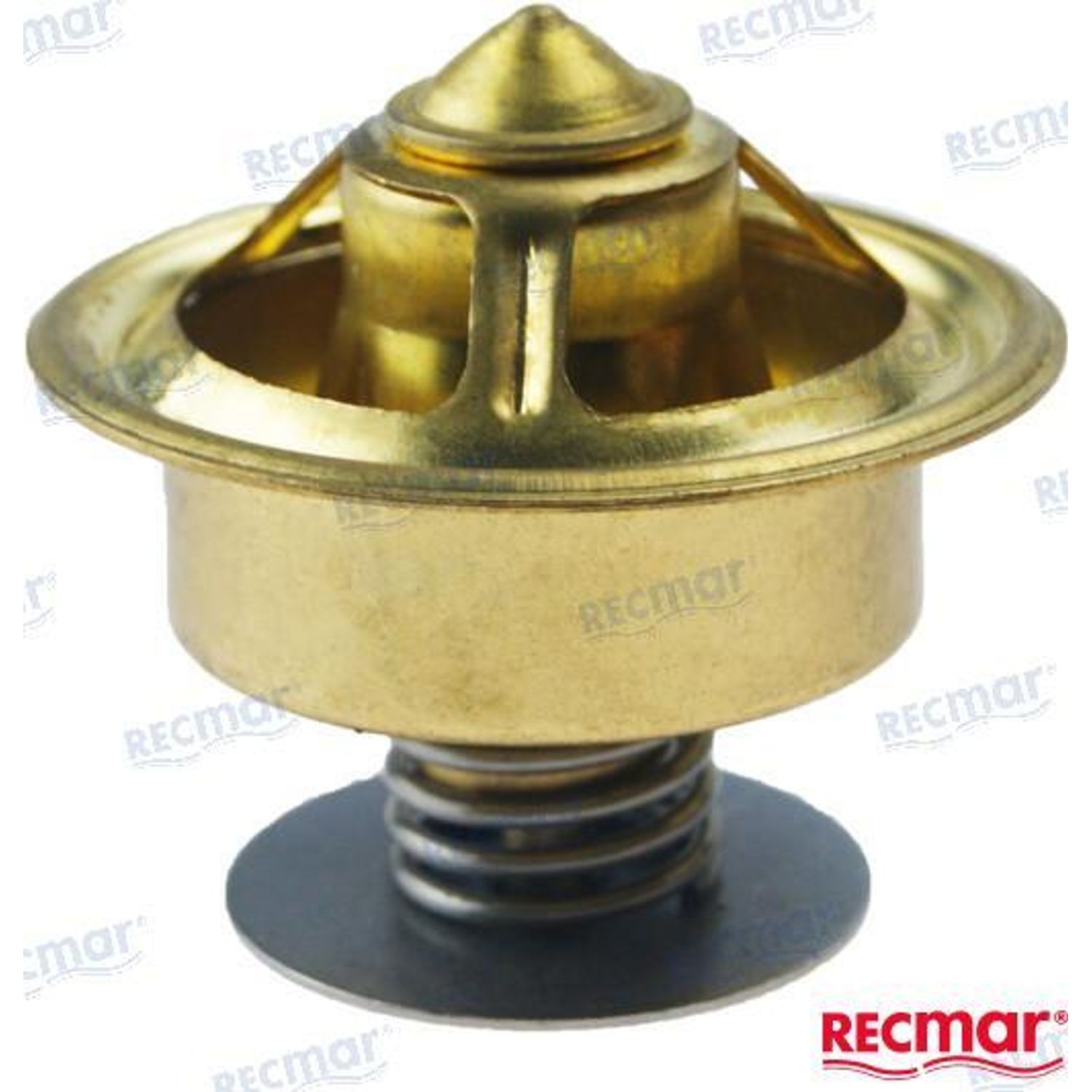 Termostat 80°C REC864493