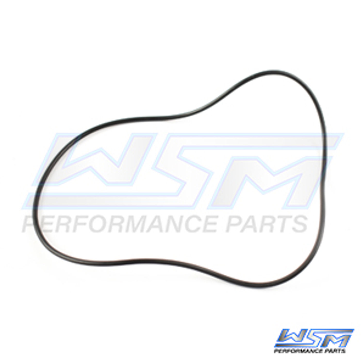 O-ring WSM00861301