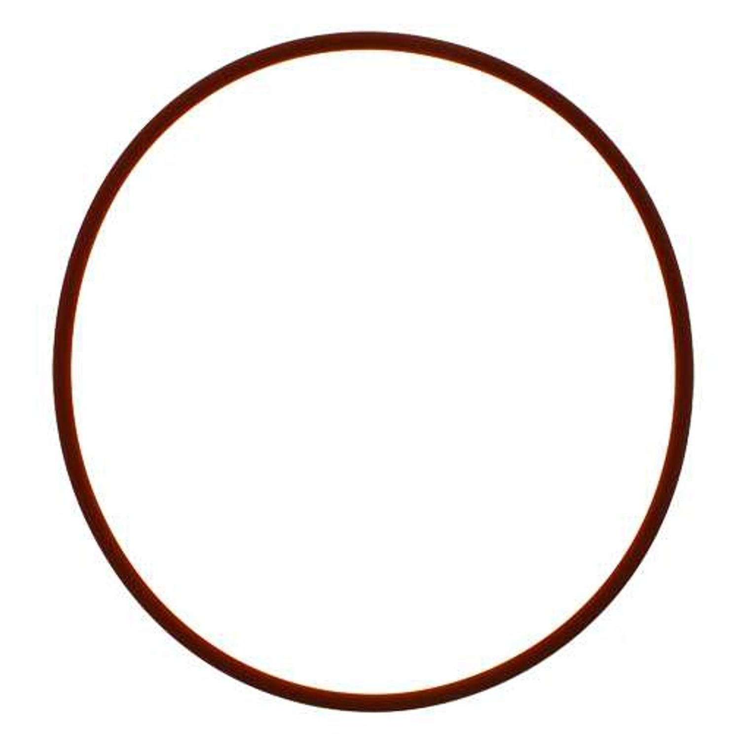 O-ring ORB14591