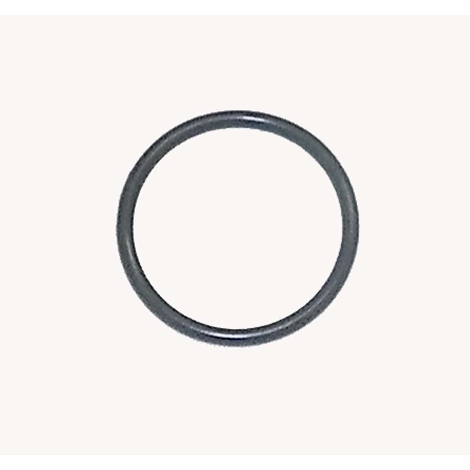 O-ring WSM00859918