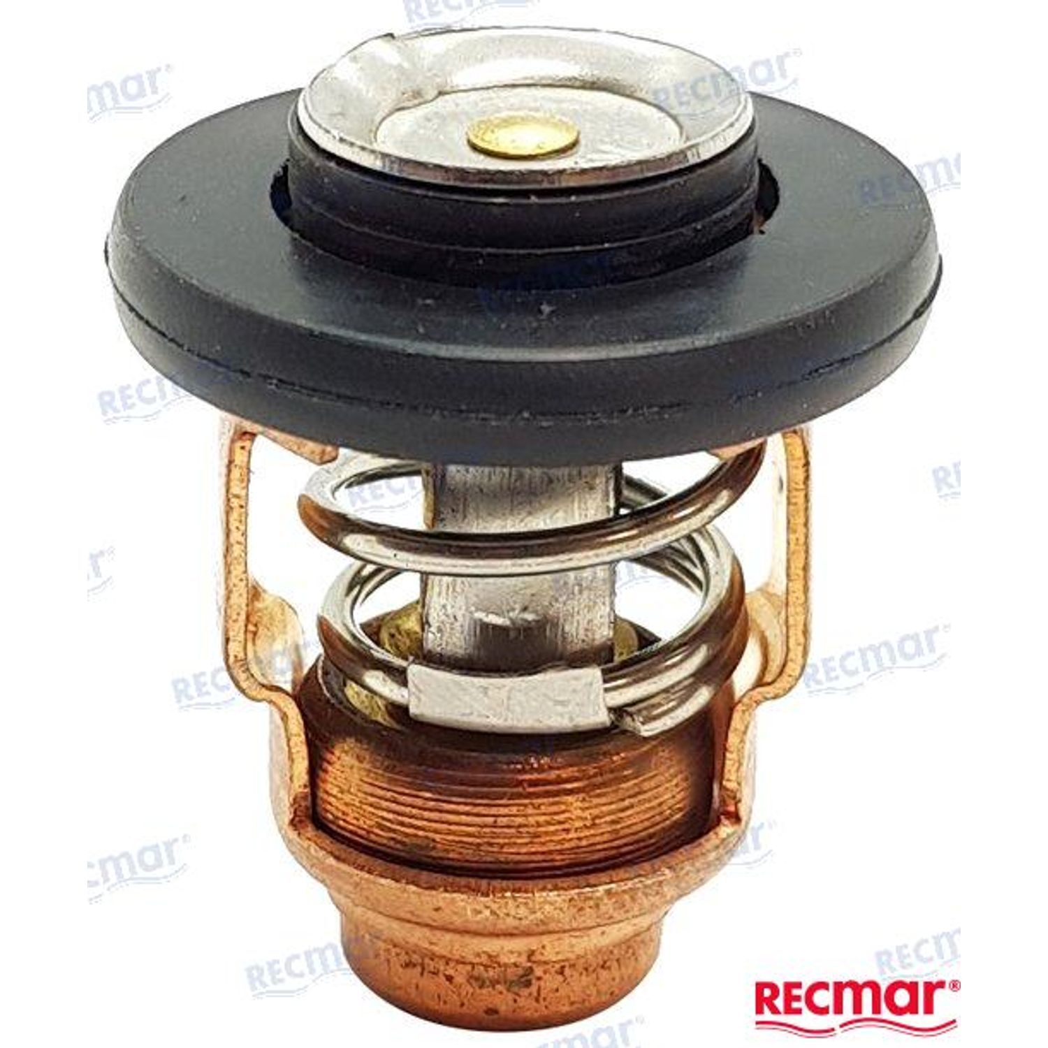 Termostat 60°C REC6AH1241100