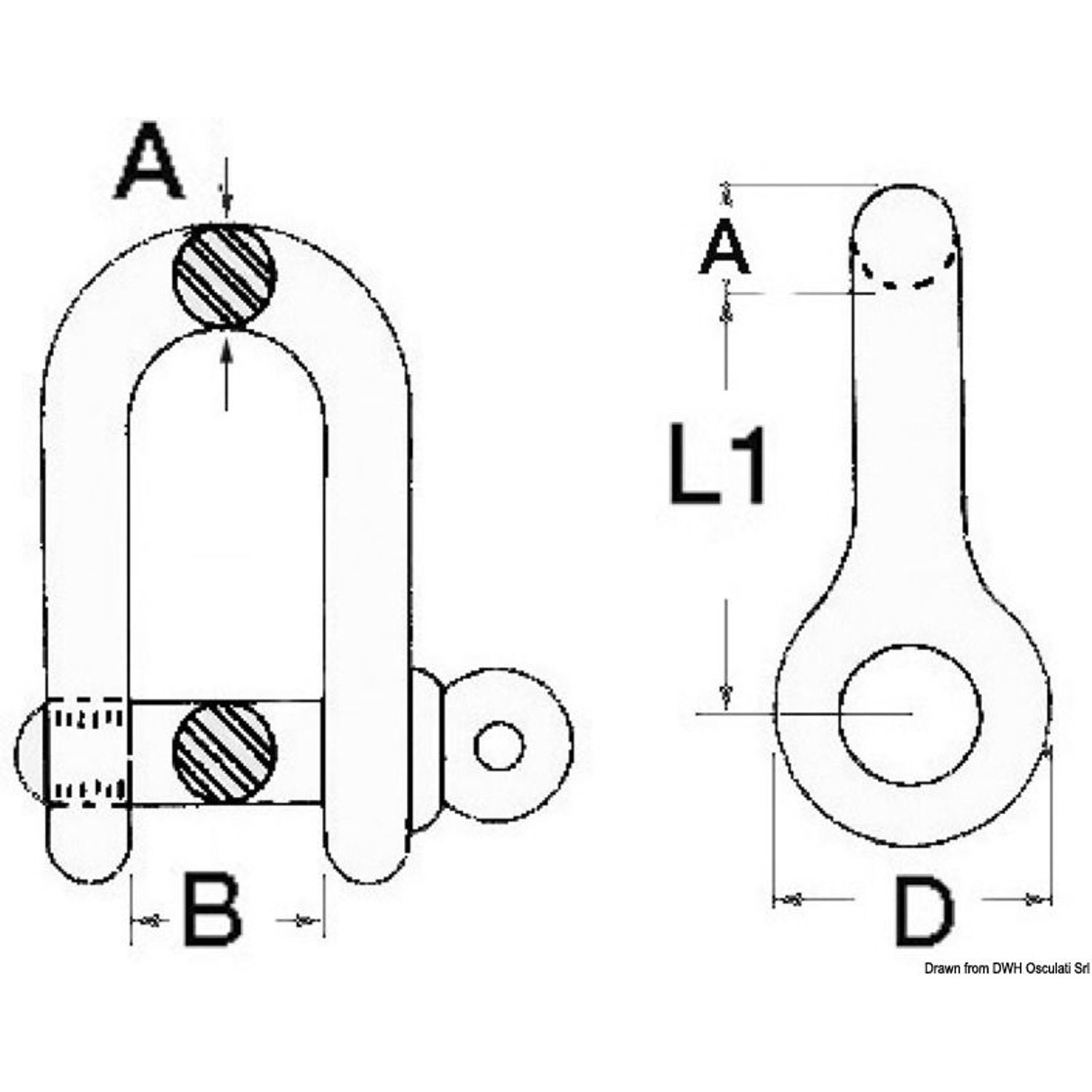 Kaarisakkeli varmistetulla tapilla AISI 316 6 mm