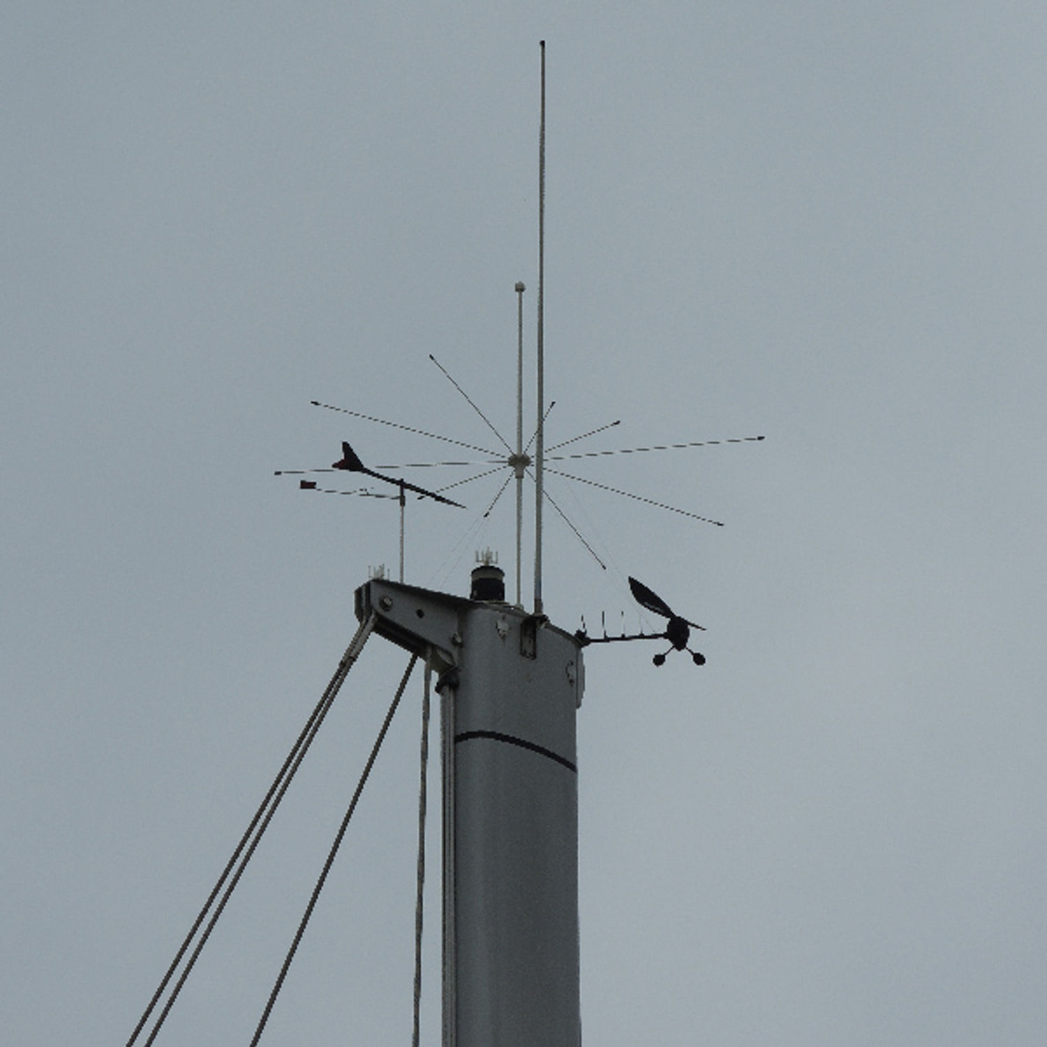 Stopgull måkeskremmer for toppmast
