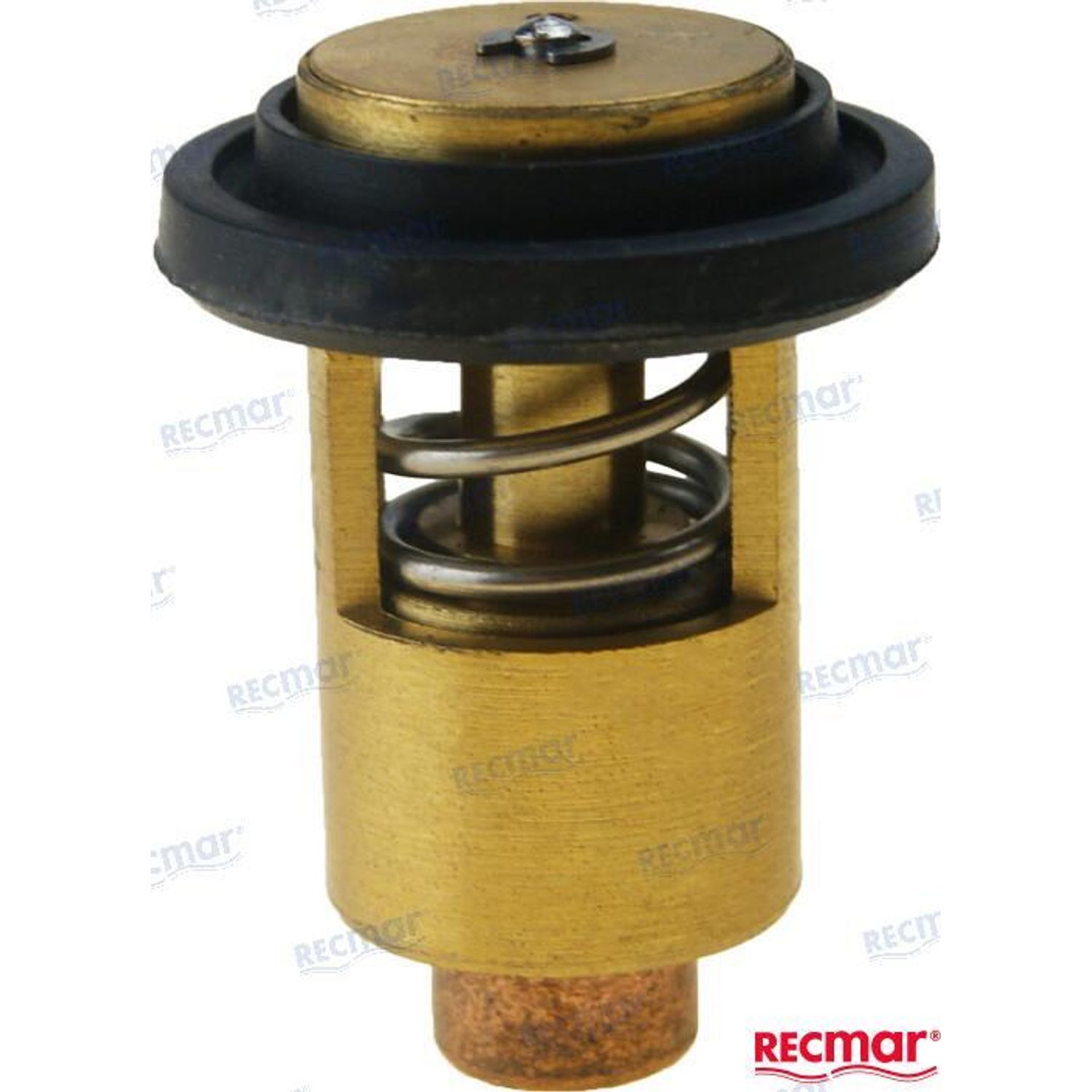 Termostat 42°C REC10558249200