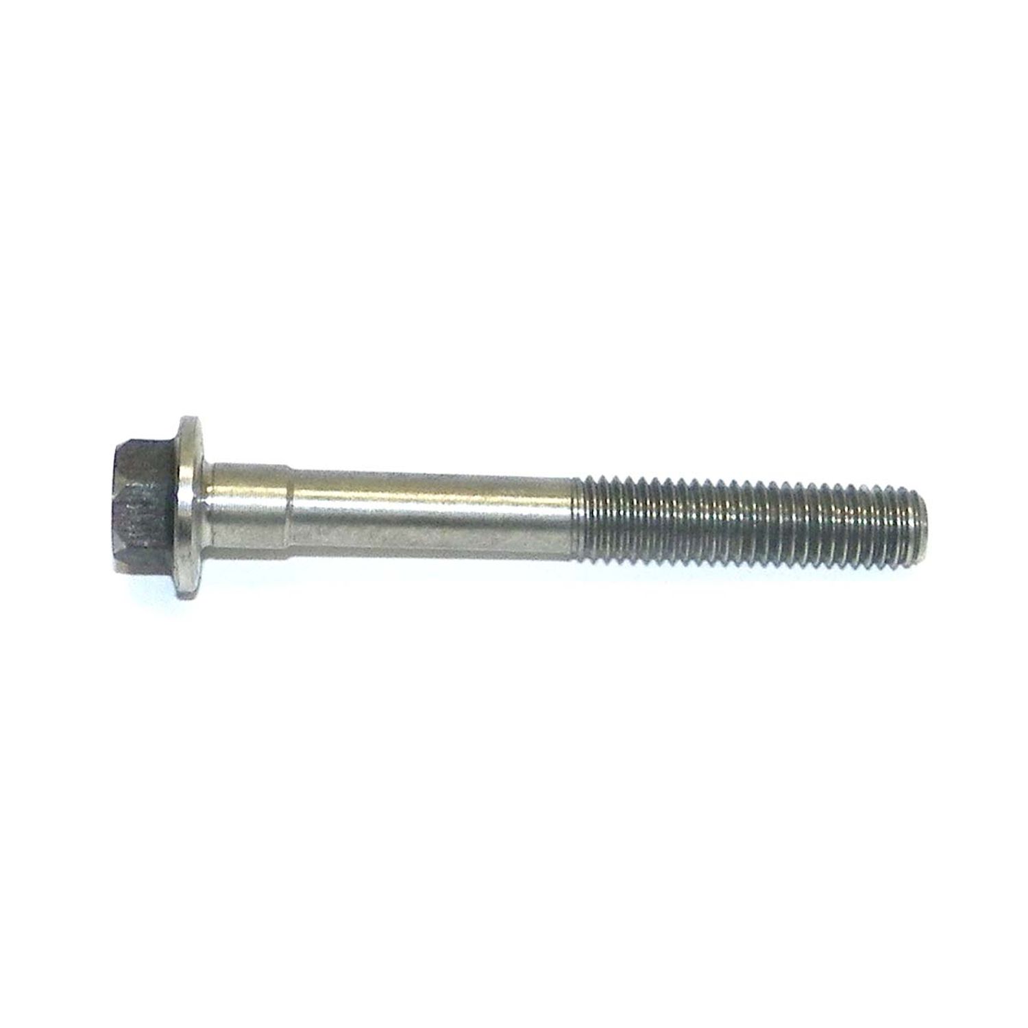 Bult WSM014130