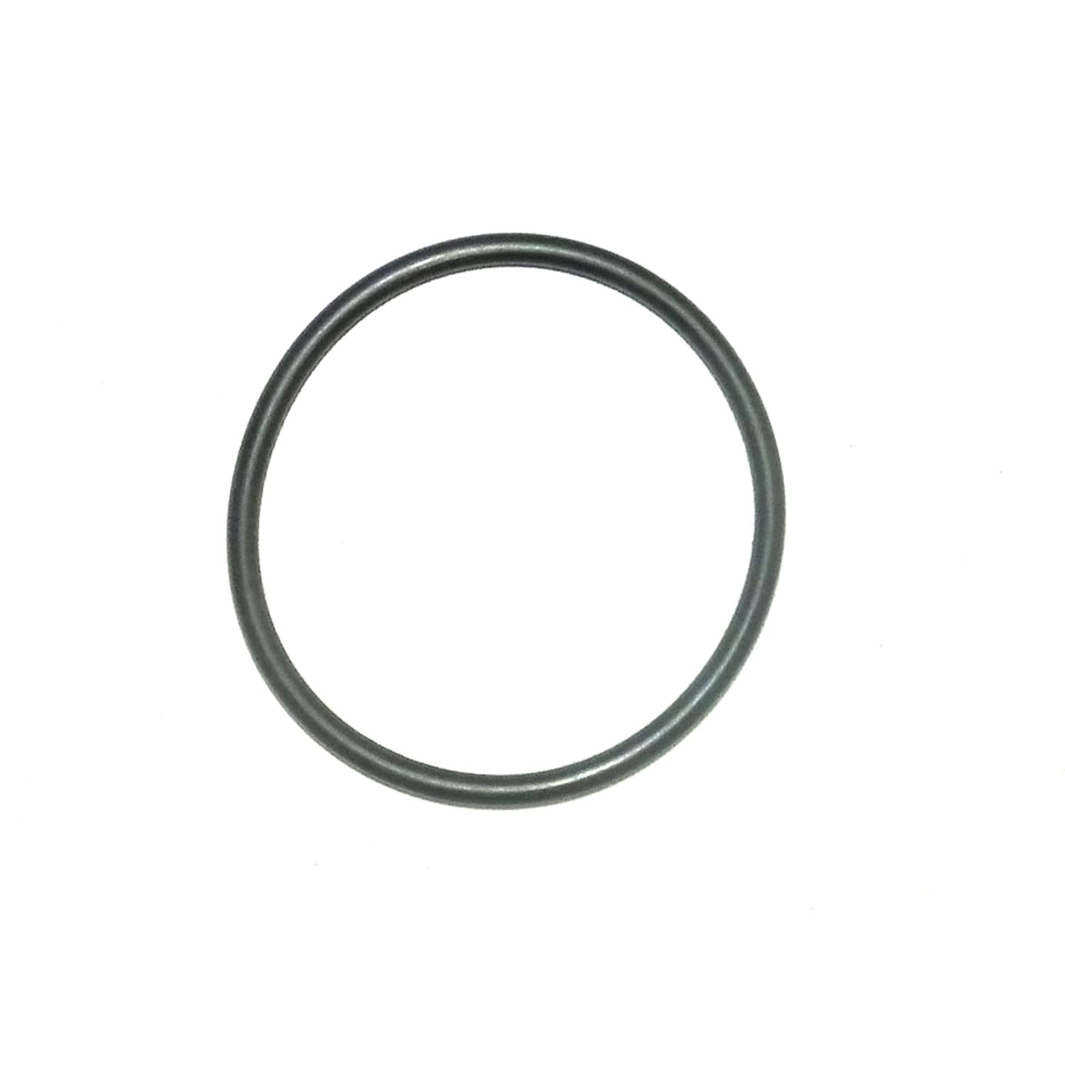 O-ring WSM008561