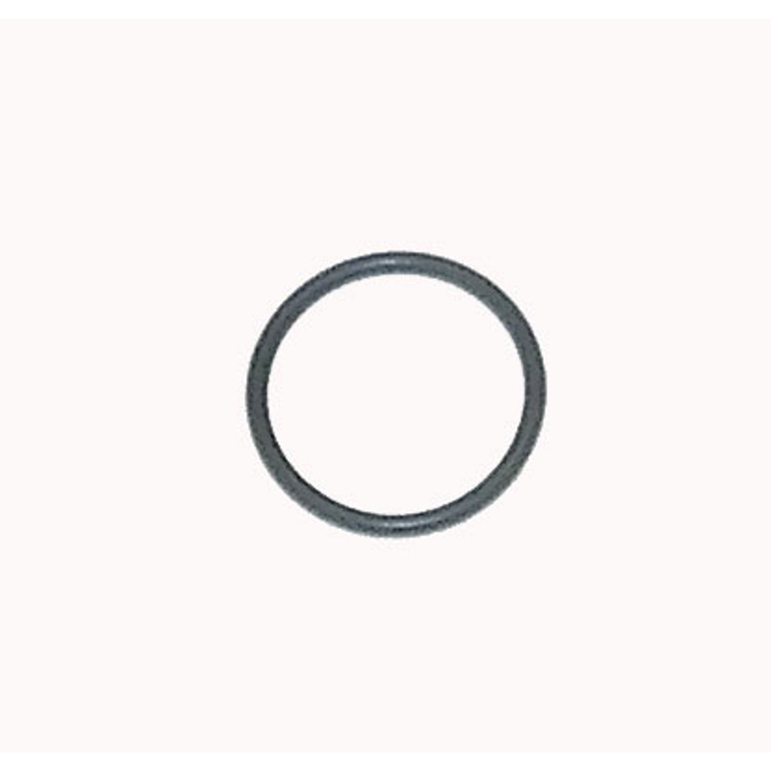 O-Ring WSM008617