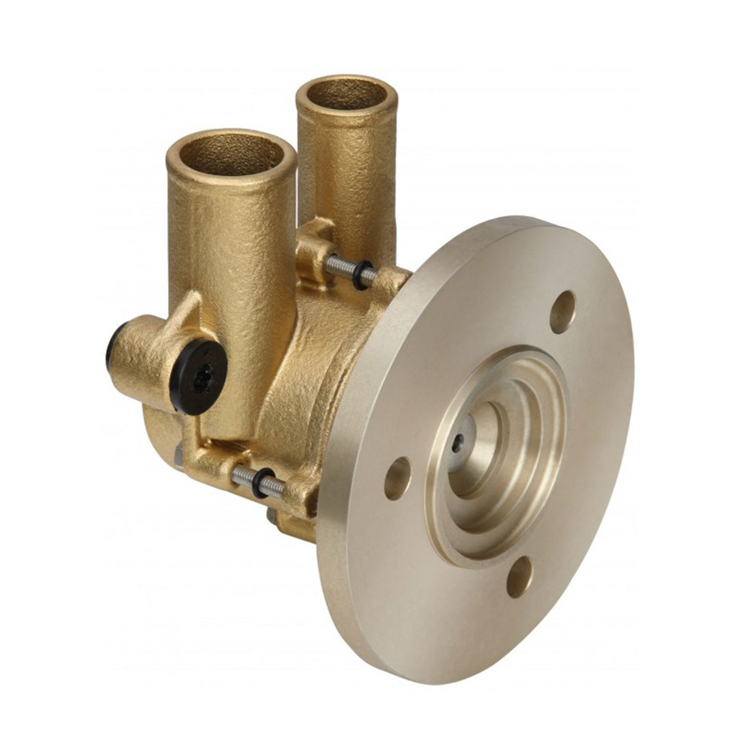 Sjövattenpump DJPV12800