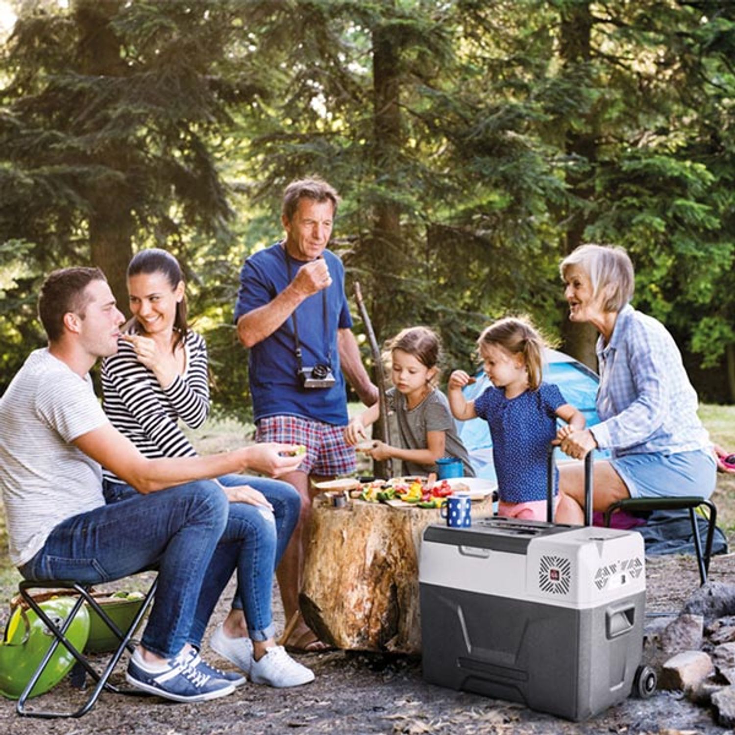 1852 køleboks 40L med kompressor 12/24/230V og til batteri