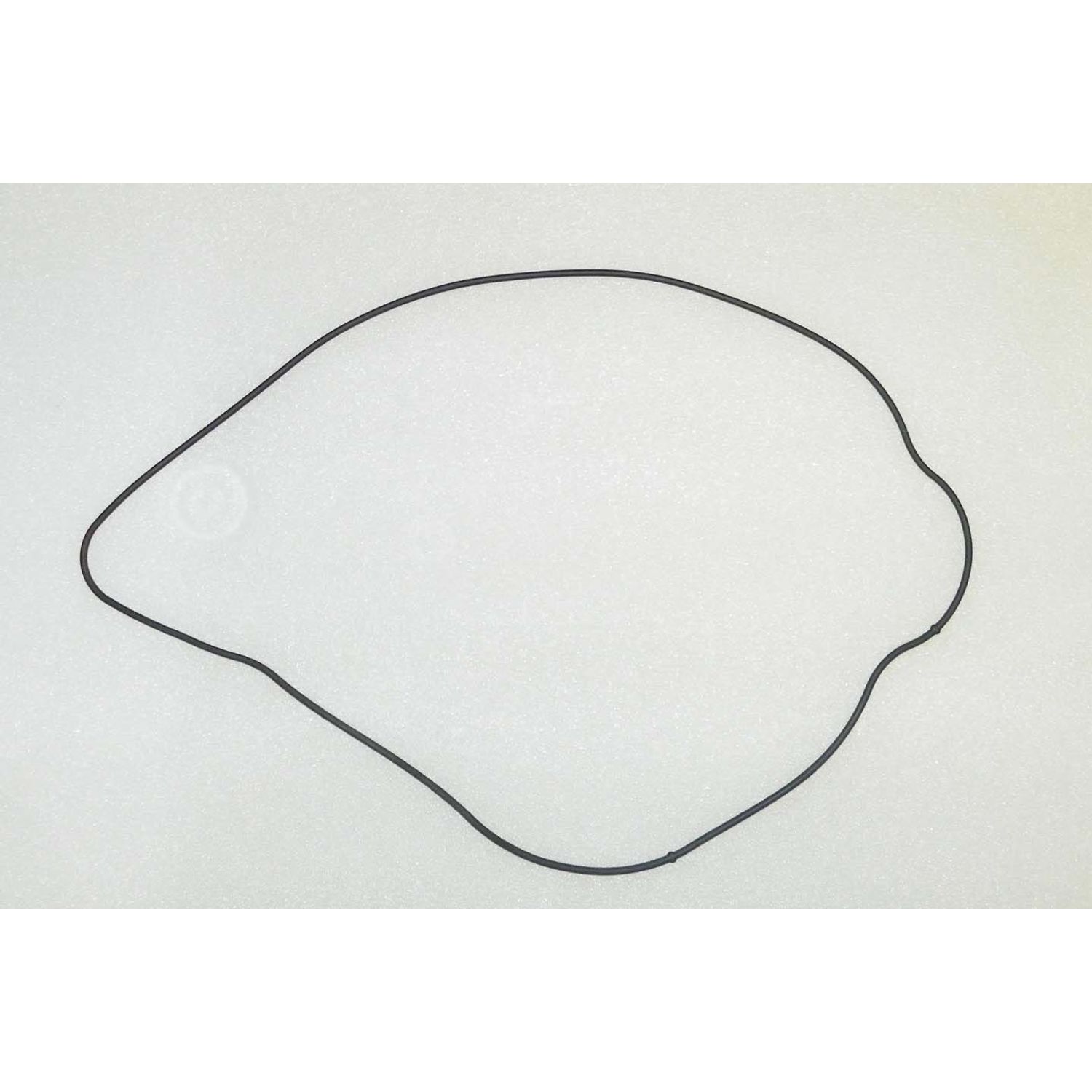 O-Ring WSM008689