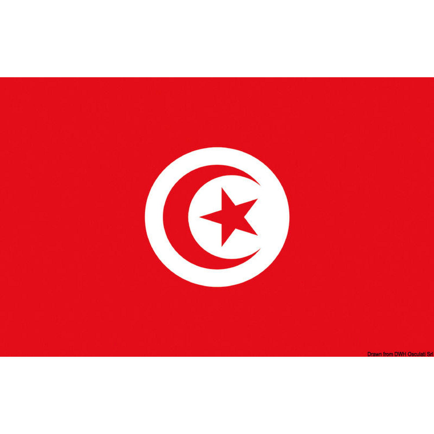Flagga Tunisien 30 x 45 cm