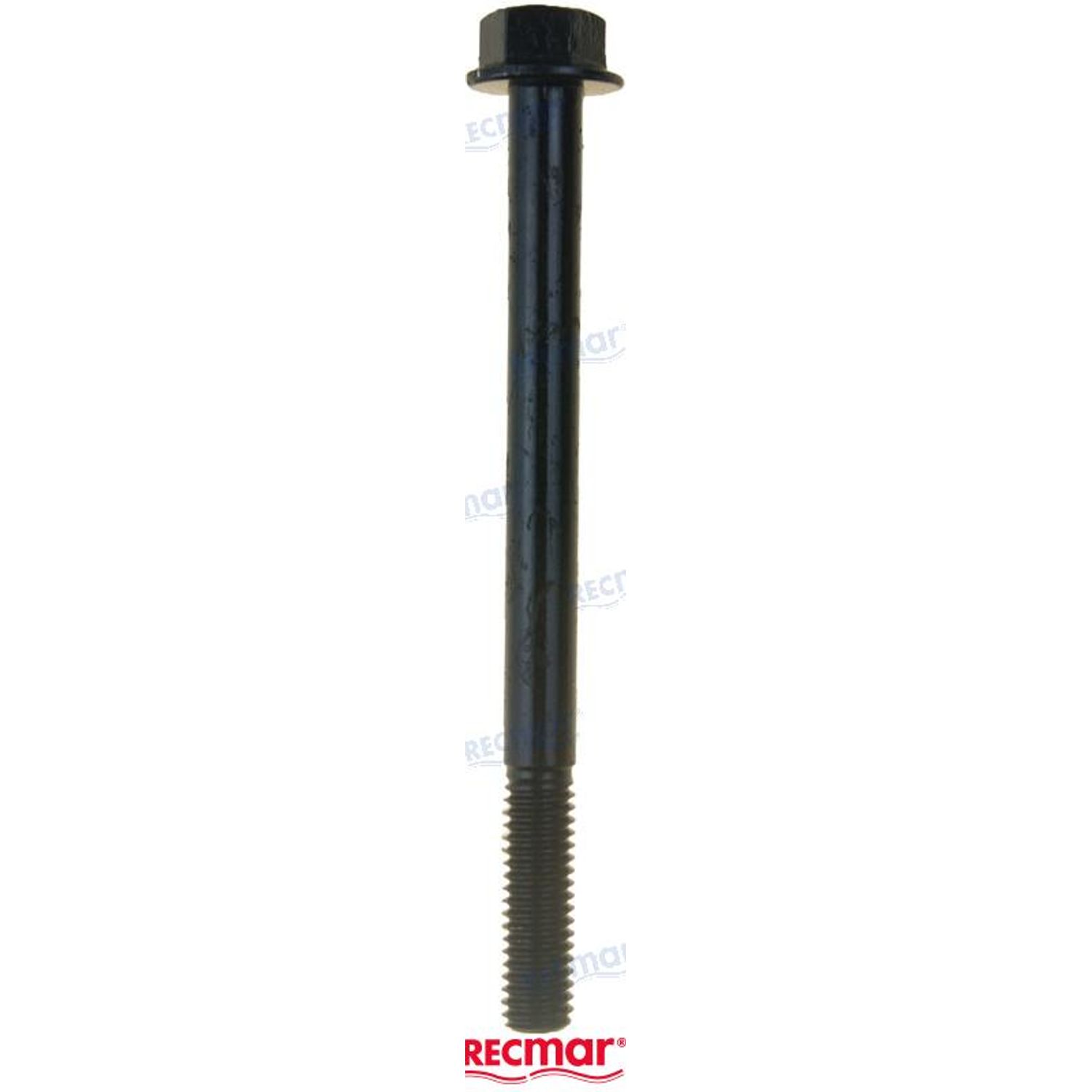 Bolt REC1053728