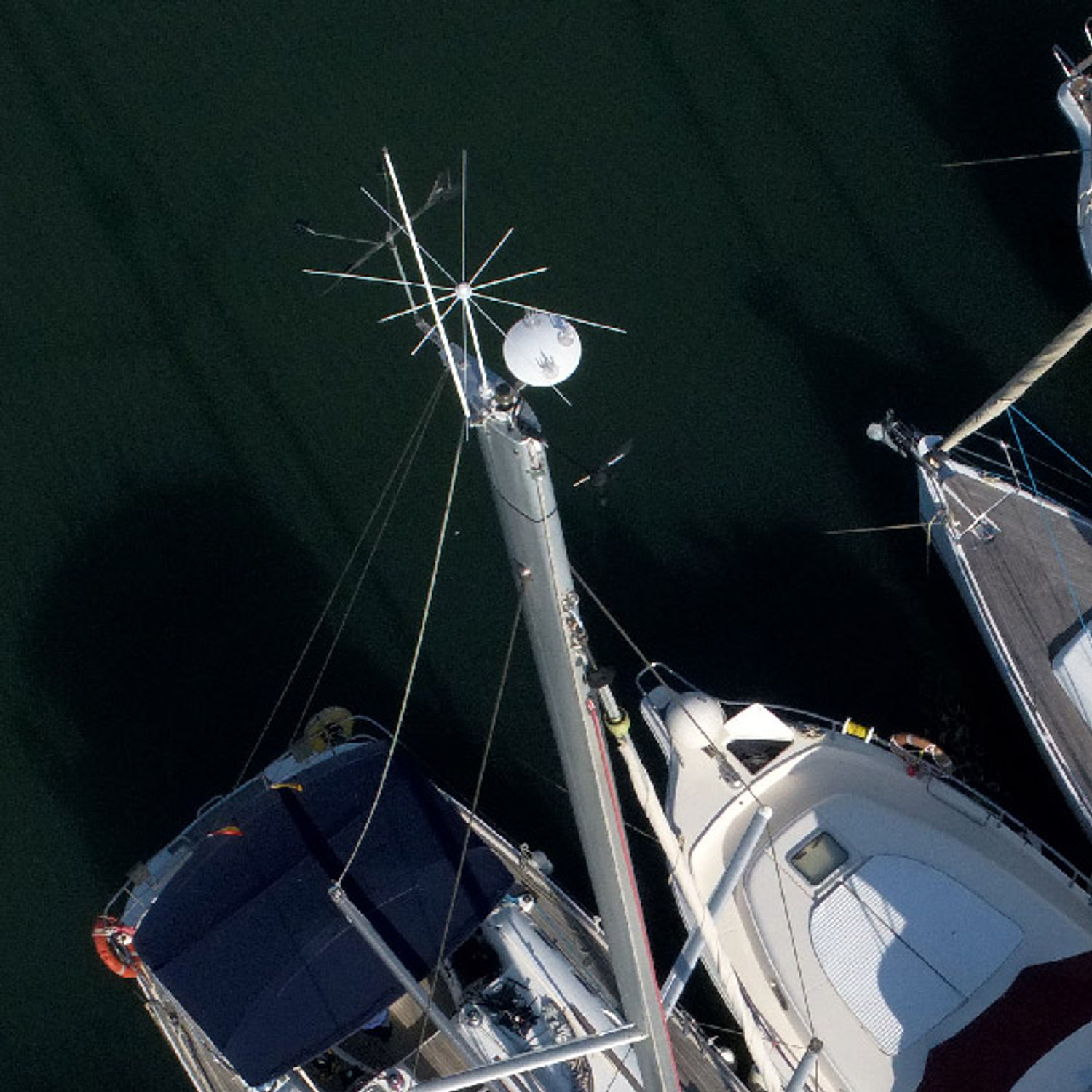Stopgull mås-skrämmare till mast-topp