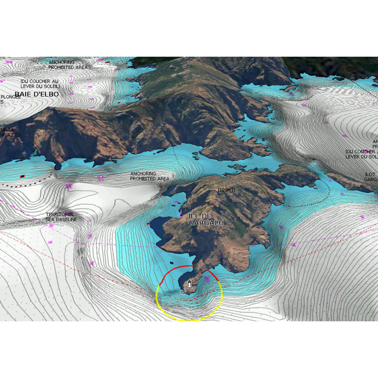 Navionics Platinum Regular MSD