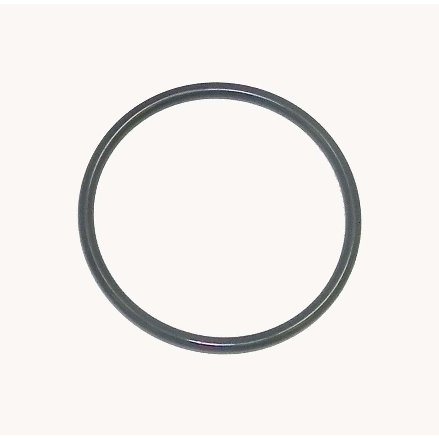 O-ring WSM008563