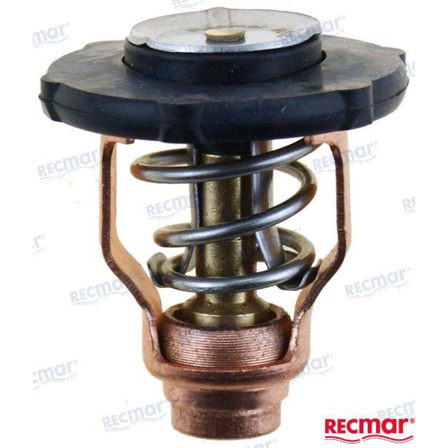 Termostat 60°C REC6FP1241100