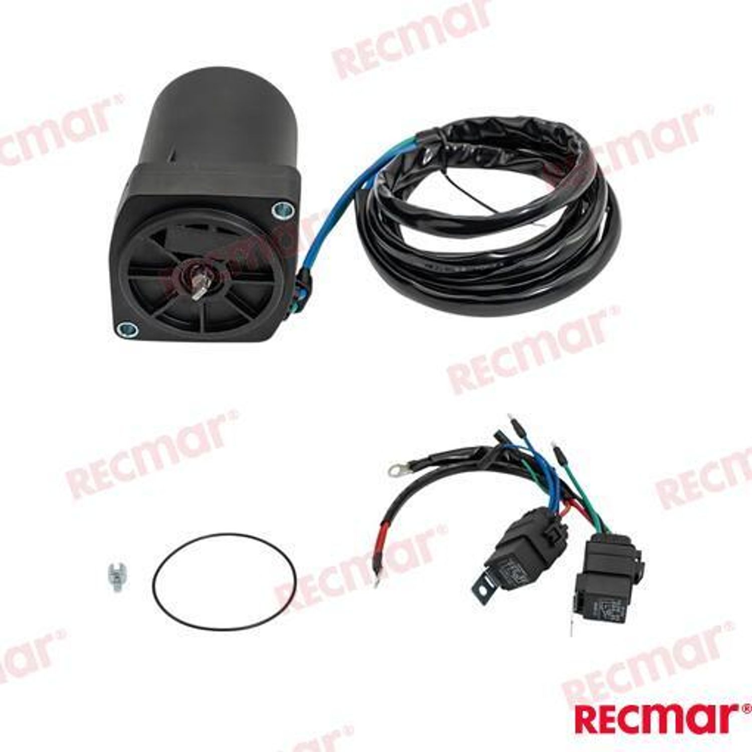 Powertrim/ Tiltmotor REC6AW4388022