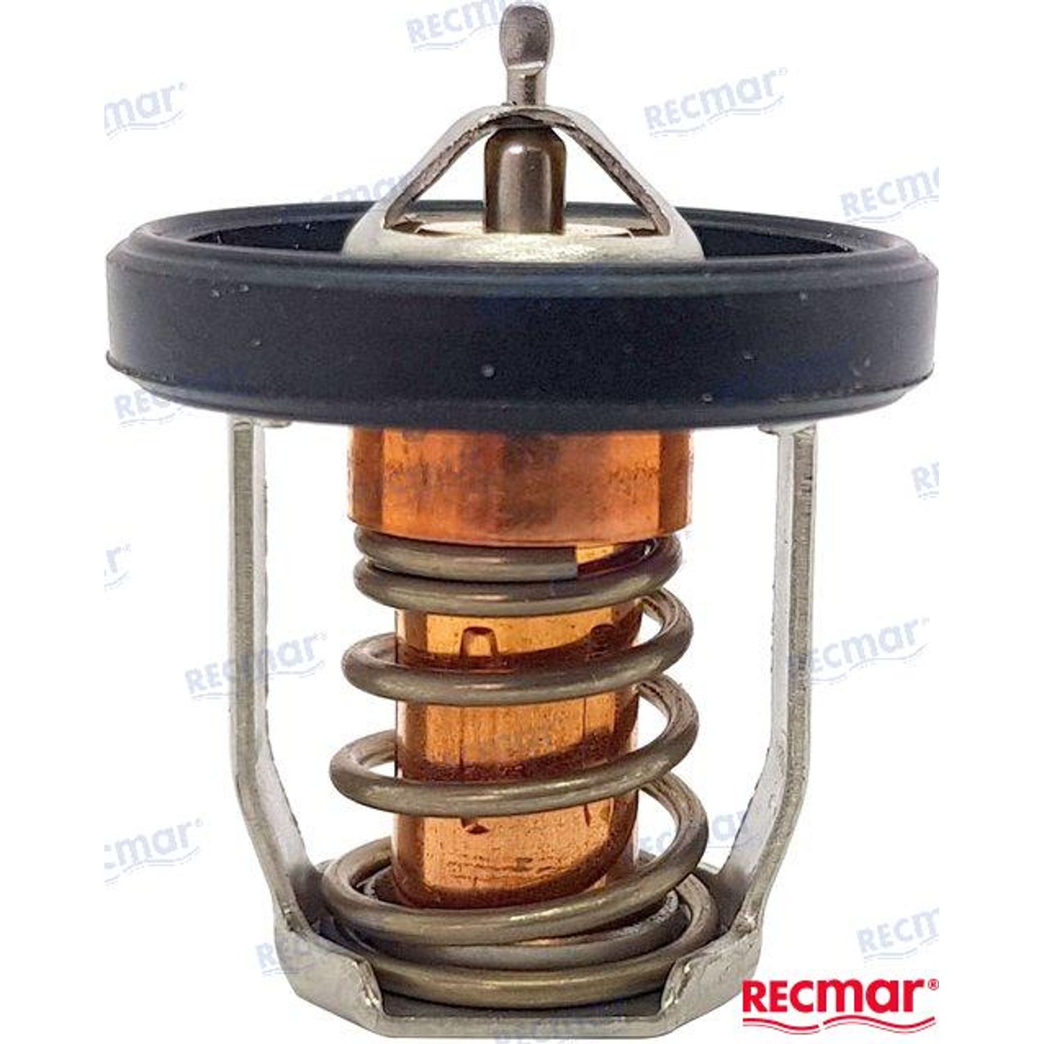 Termostat 50°C REC1767091J01